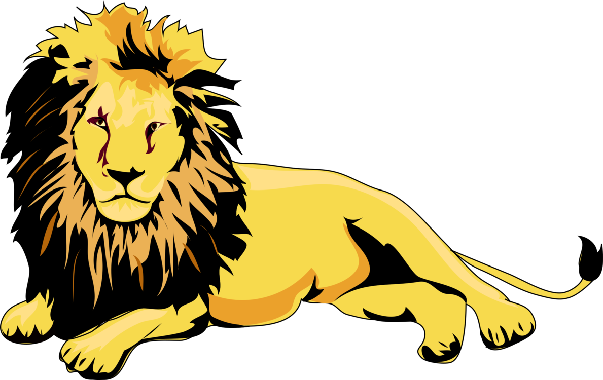 Carnivoran,Yellow,Lion