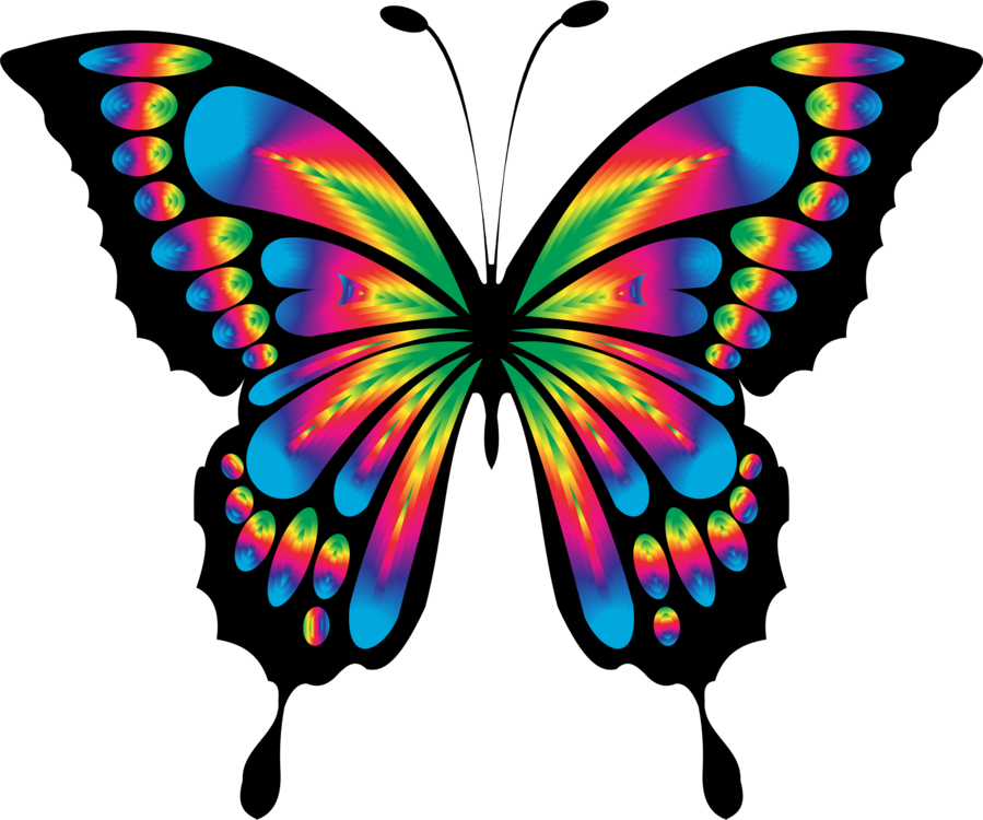 Free Free 341 Butterfly Drawing Svg SVG PNG EPS DXF File