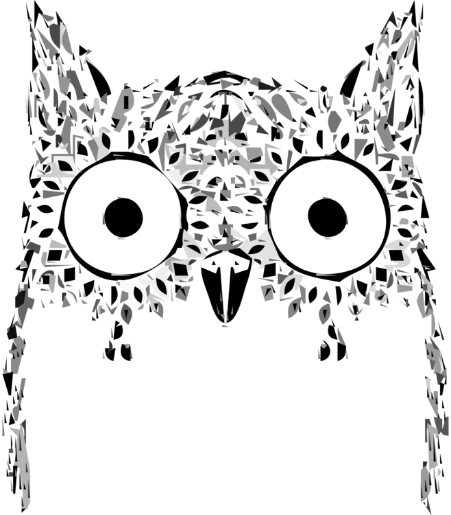 Owl,Symmetry,Monochrome Photography