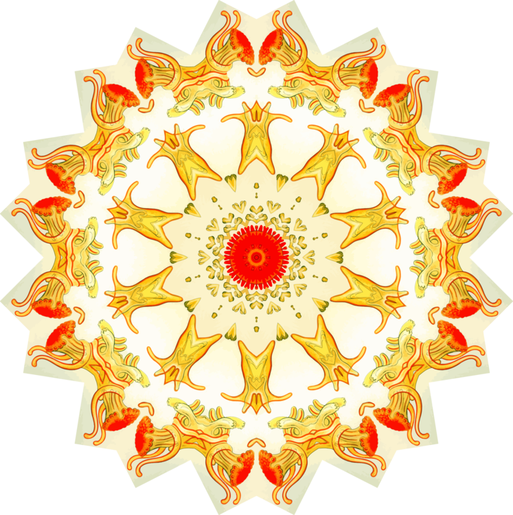 Flower,Symmetry,Petal