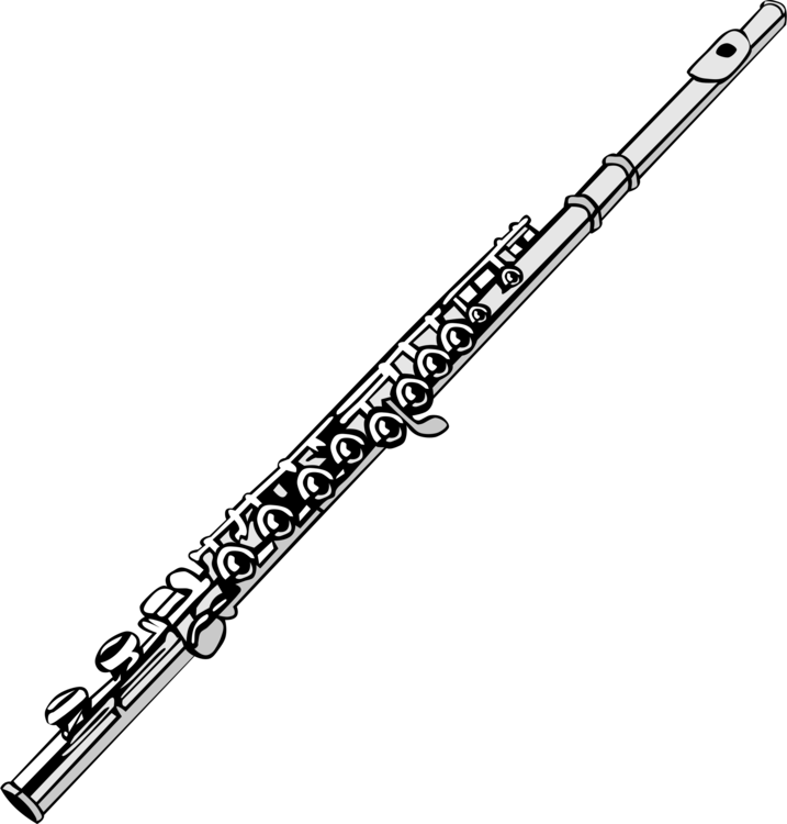 Woodwind Instrument,Western Concert Flute,Piccolo