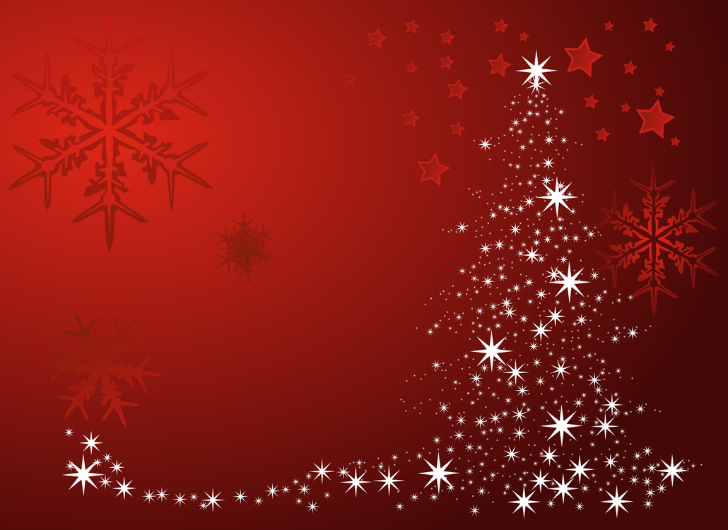 Fir,Christmas Decoration,Snowflake
