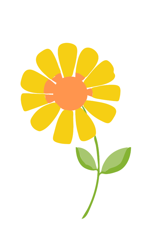 Chrysanths,Flower,Sunflower