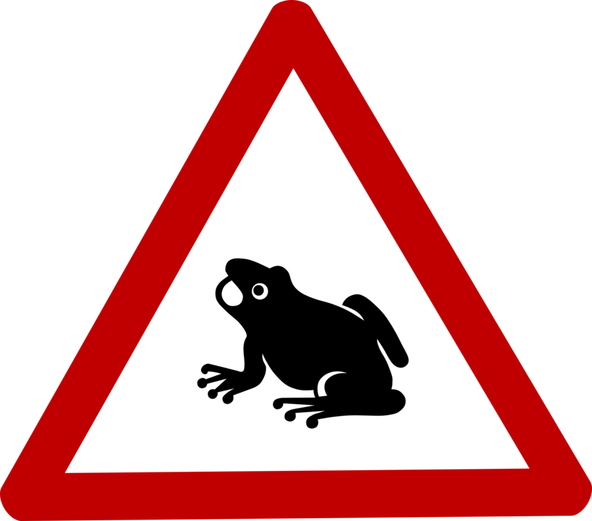 Silhouette,Area,Toad