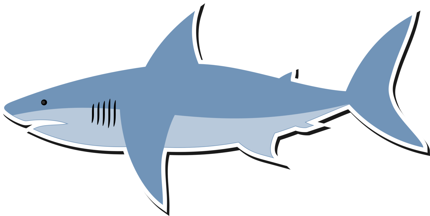 Marine Biology,Shark,Organism