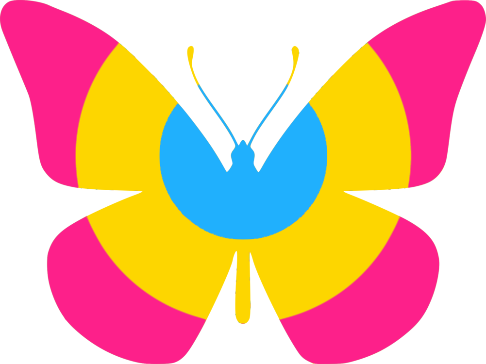 Butterfly,Flower,Symmetry