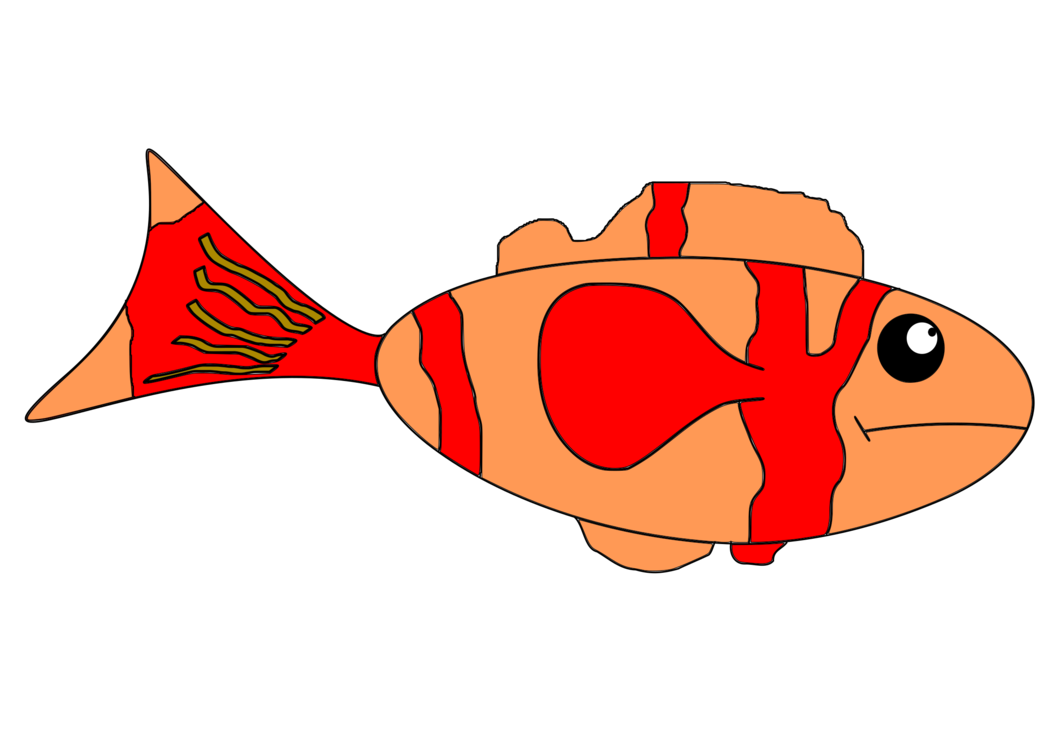 Fish,Vertebrate,Tail