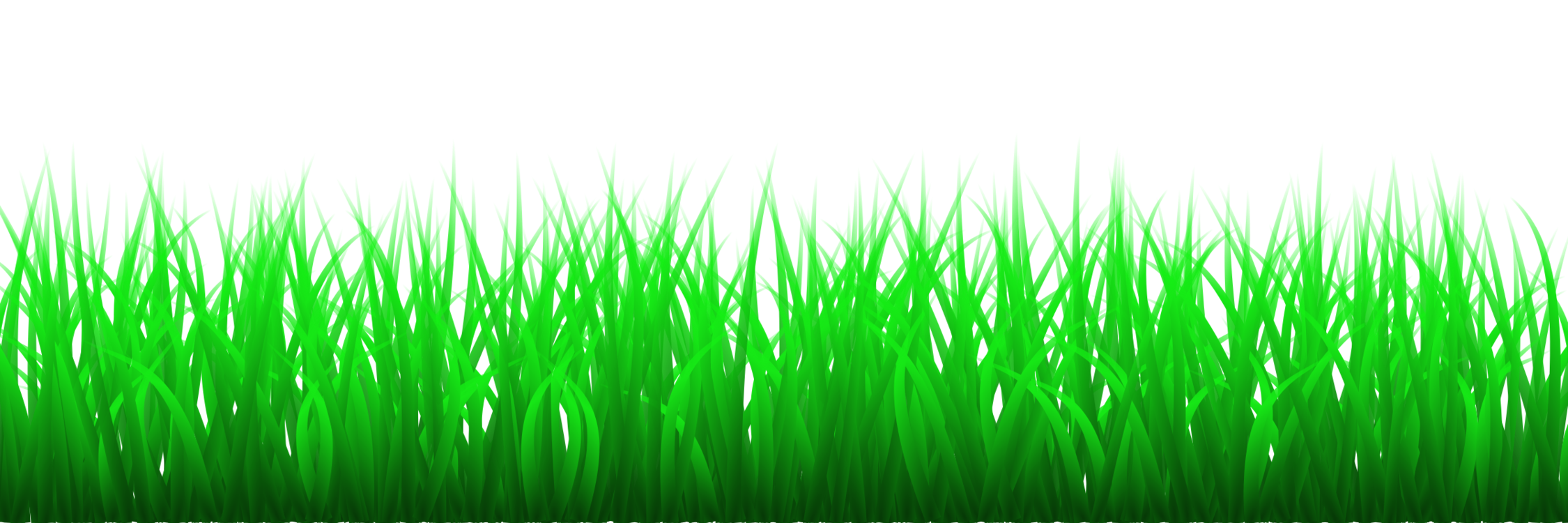Download Plant Meadow Grass Family Png Clipart Royalty Free Svg Png