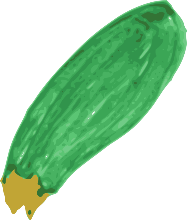 Vegetable,Cucumber,Green