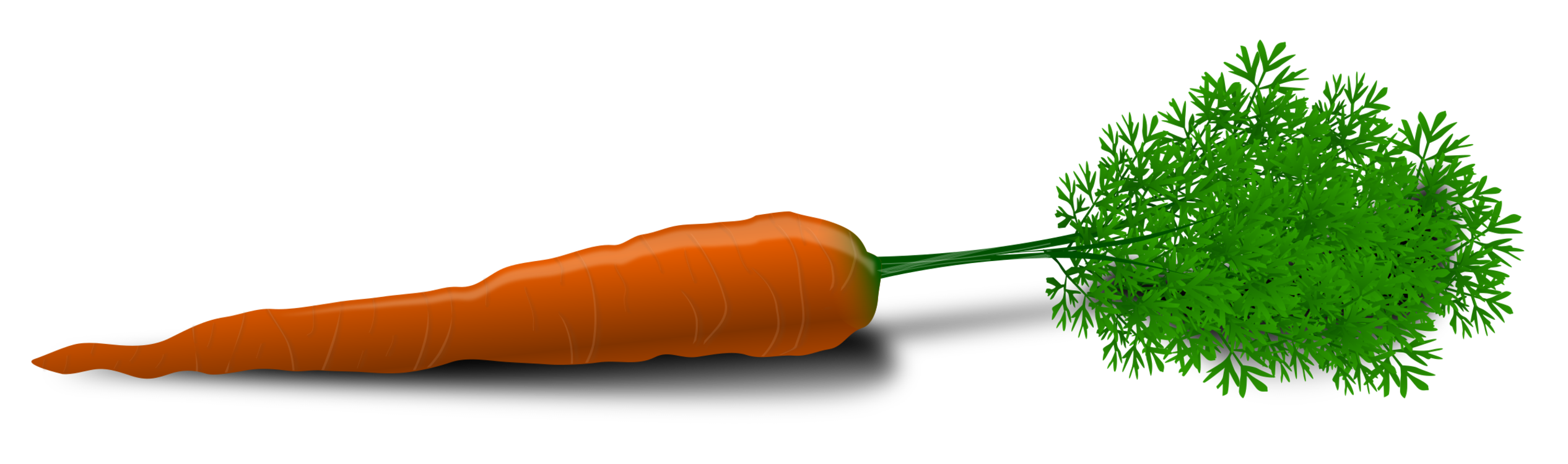 Vegetable,Carrot,Grass