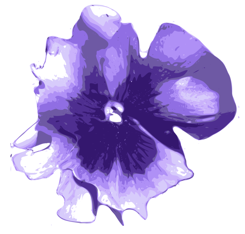 Download Iris Plant Flower Png Clipart Royalty Free Svg Png