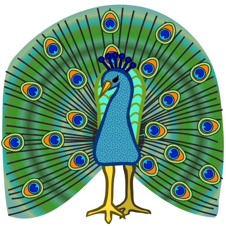 Galliformes,Beak,Peafowl