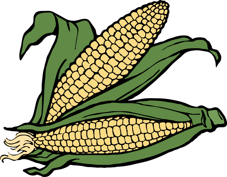 Maize,Leaf,Commodity