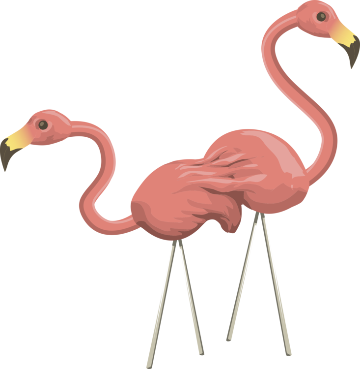 Flamingo,Water Bird,Neck