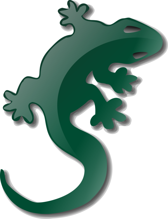 Vertebrate,Frog,Green
