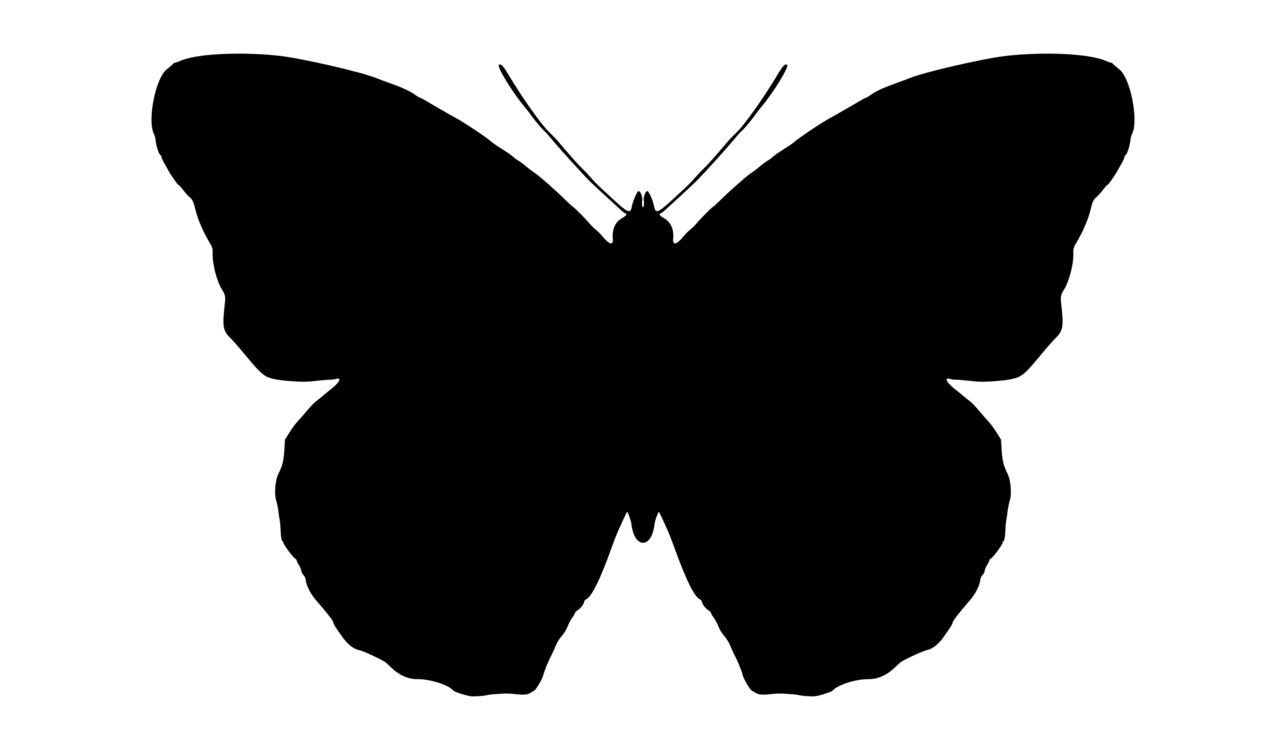Butterfly,Silhouette,Symmetry