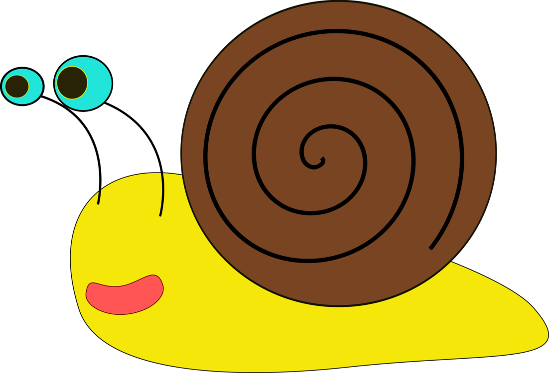 Snail,Area,Invertebrate