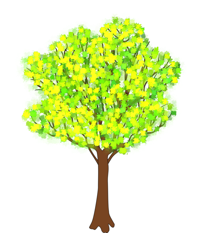 Plant,Tree,Yellow