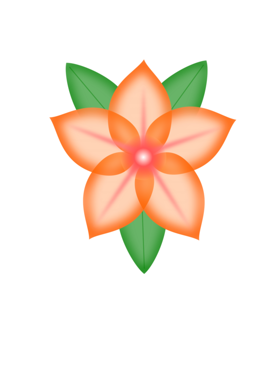 Orange,Petal,Flower