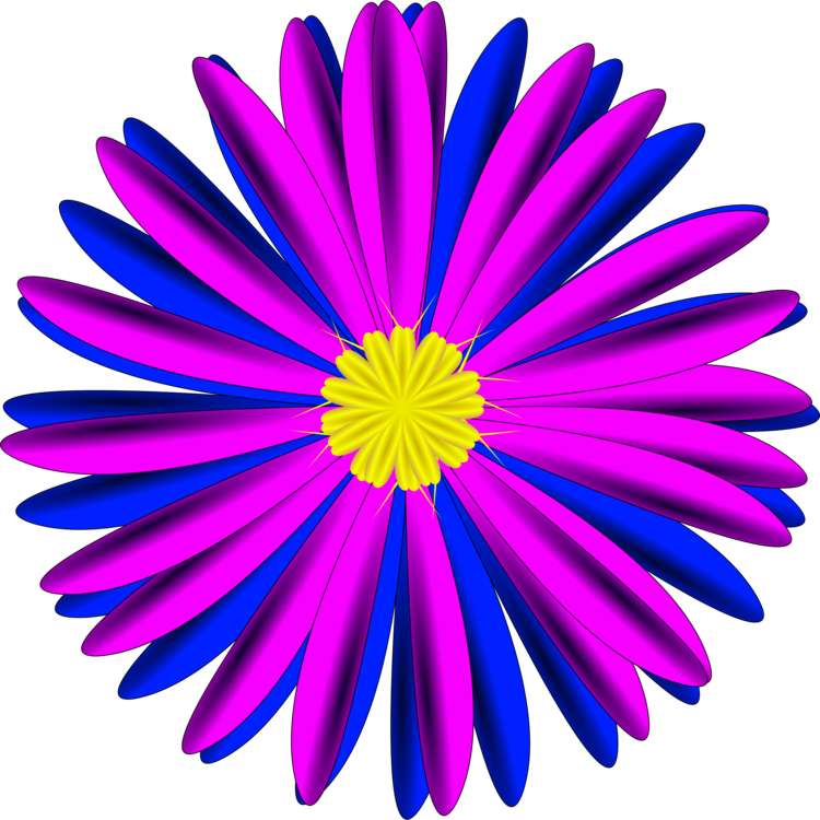 Chrysanths,Flower,Symmetry