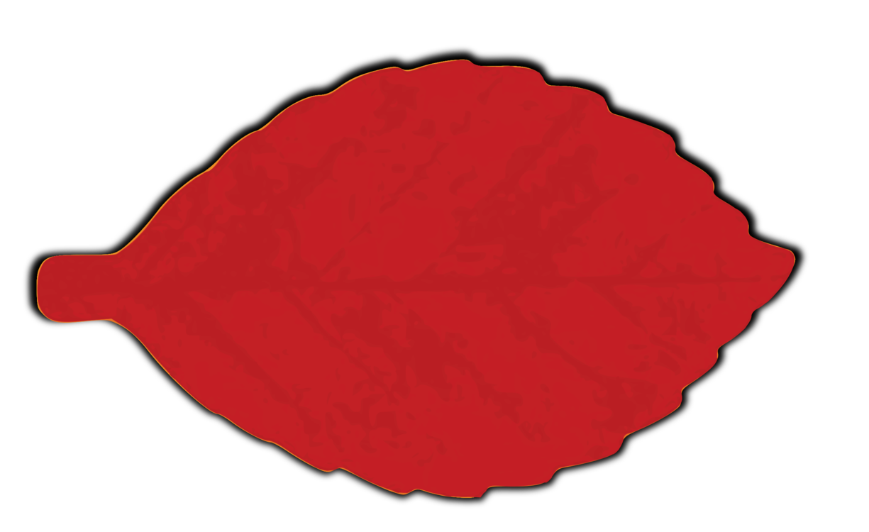 Leaf,Red,Computer Icons