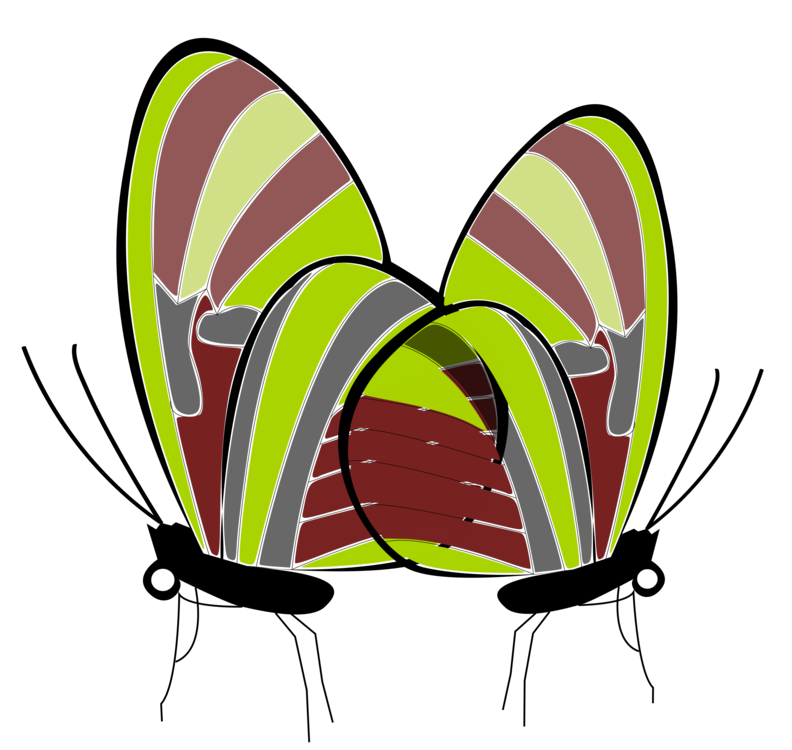 Butterfly,Pollinator,Monarch Butterfly