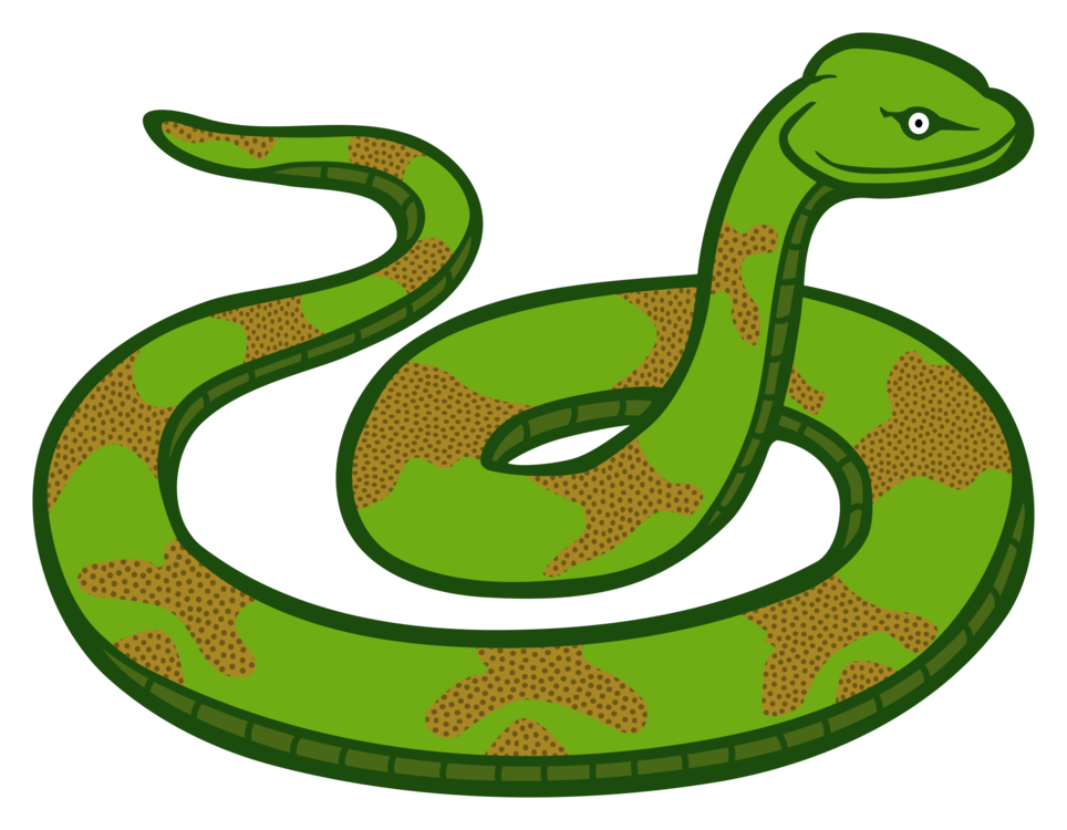 Elapidae,Reptile,Serpent