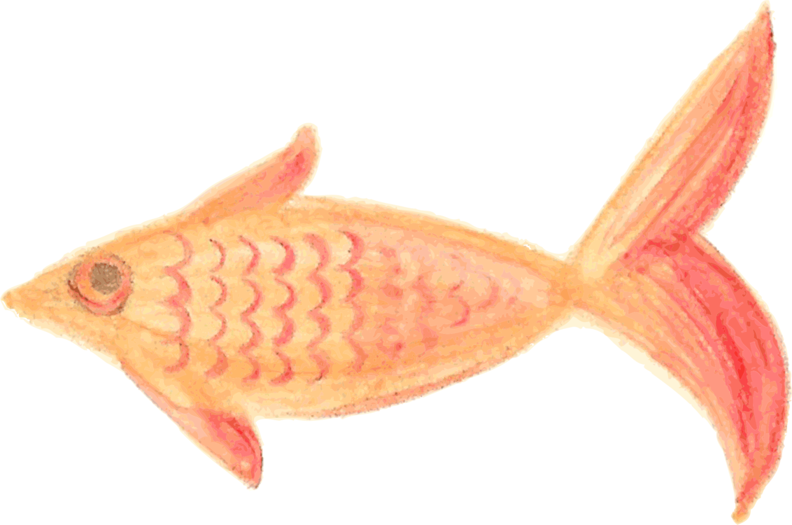 Pink,Animal Source Foods,Fish