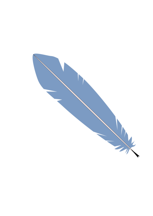 Writing Implement,Feather,Wing