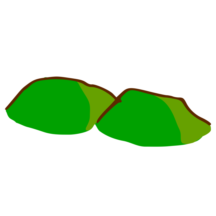 Plant,Leaf,Area