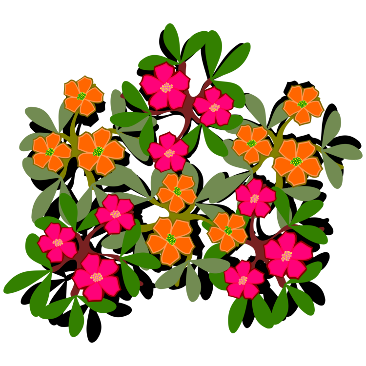 Plant,Flower,Shrub