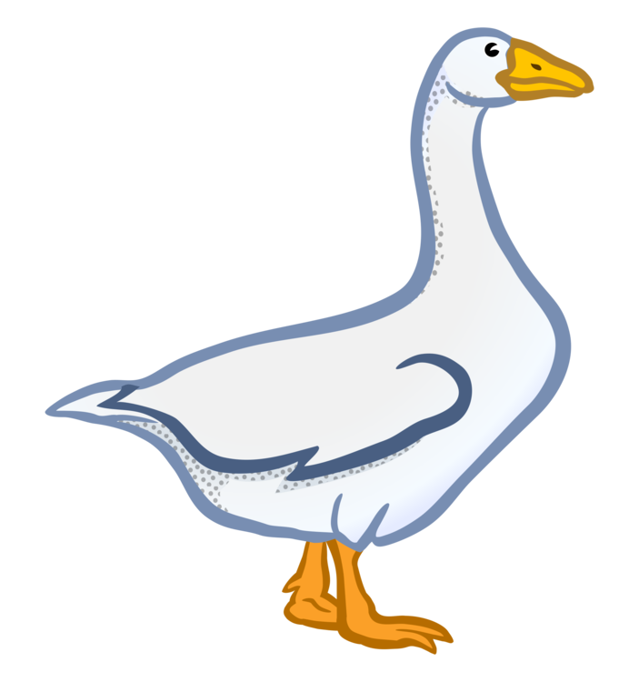 Livestock,Goose,Duck