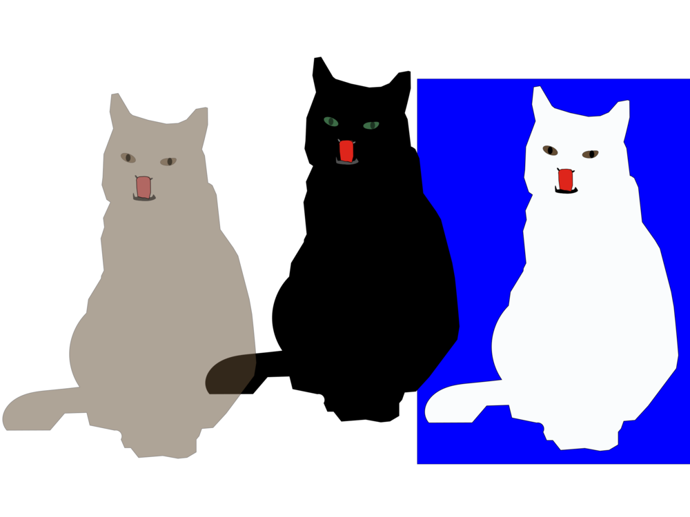 Black Cat,Paw,Small To Medium Sized Cats