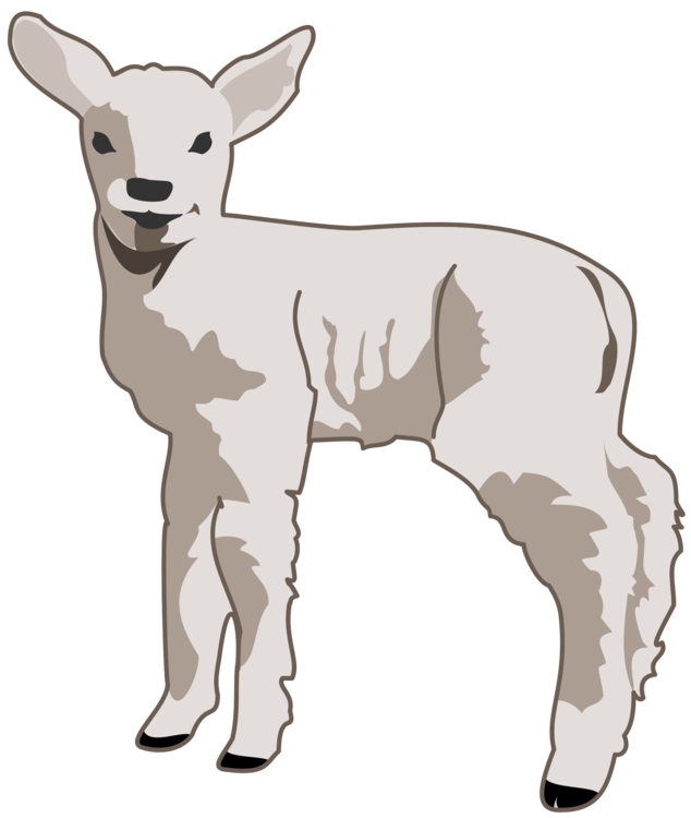 Donkey,Livestock,Deer