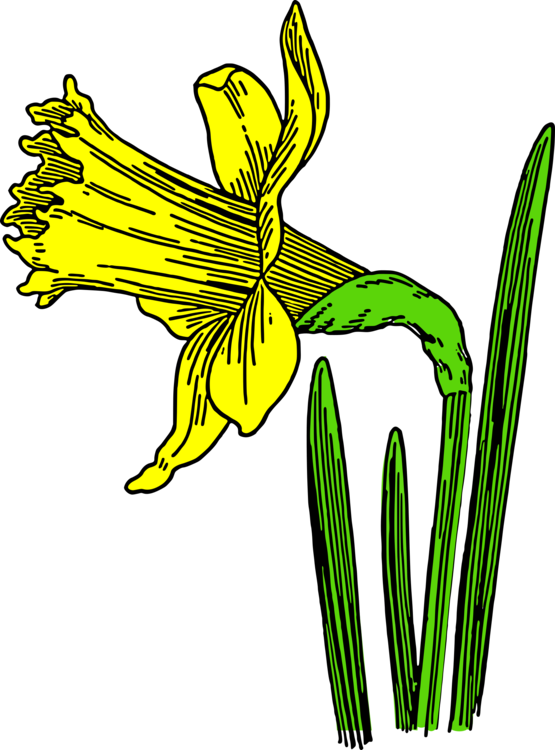 Pollinator,Plant,Flora