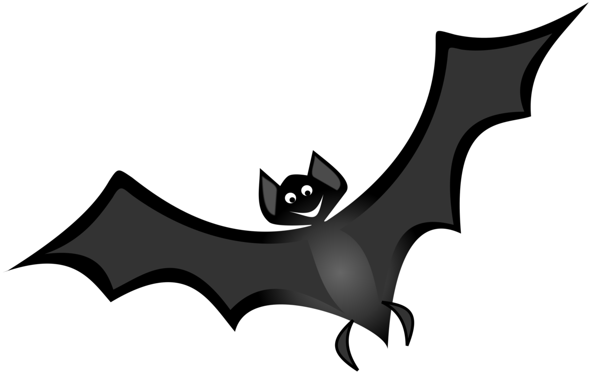 Bat,Monochrome Photography,Vertebrate