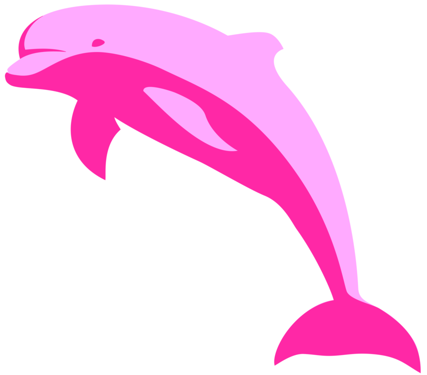 Pink,Tucuxi,Whales Dolphins And Porpoises