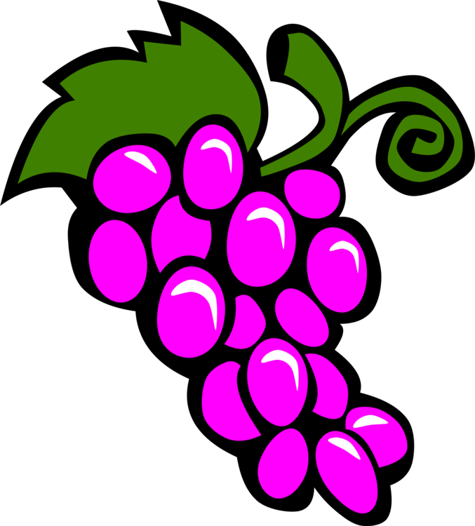 Plant,Flower,Grape