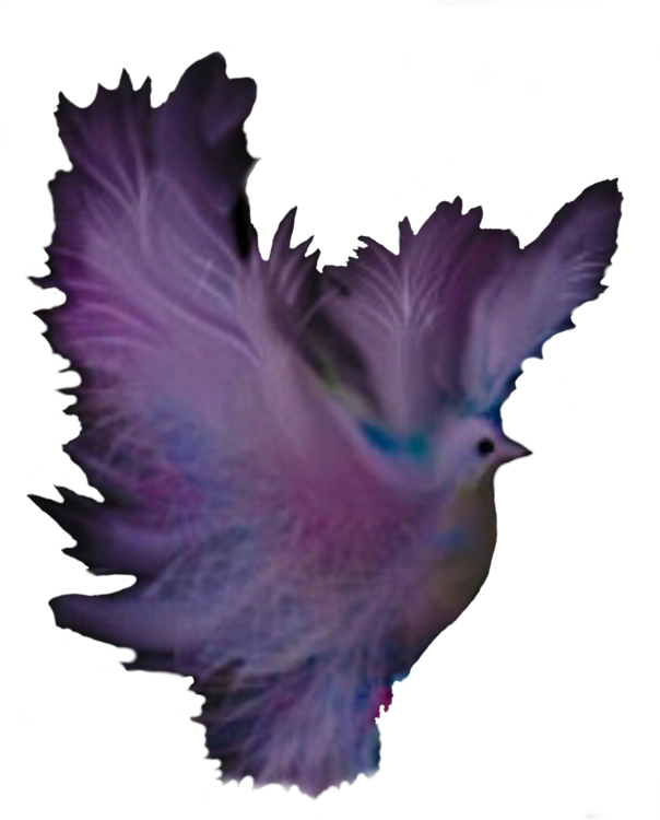 Purple,Wing,Tail