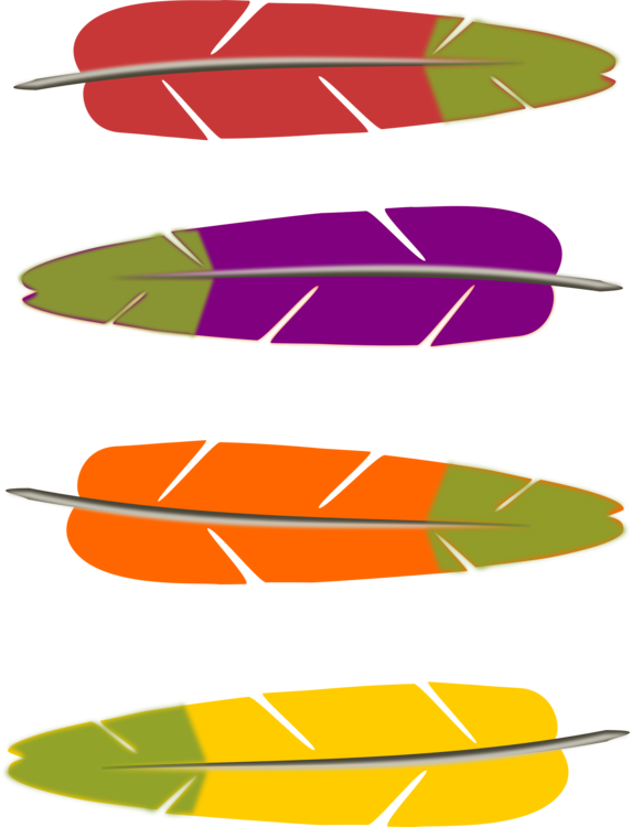 Leaf,Wing,Line