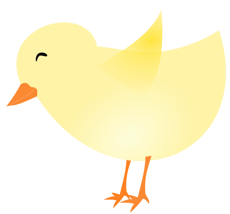 Water Bird,Duck,Yellow