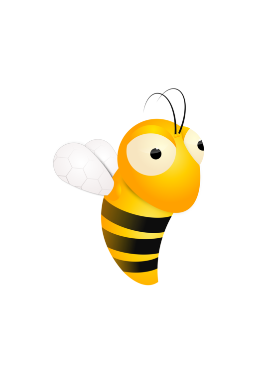 Butterfly,Honey Bee,Pollinator