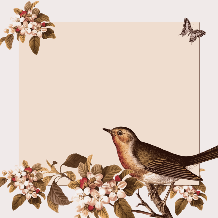 Wildlife,Flora,Emberizidae PNG Clipart - Royalty Free SVG / PNG