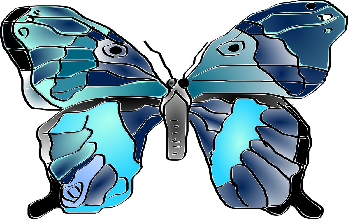 Butterfly,Electric Blue,Symmetry