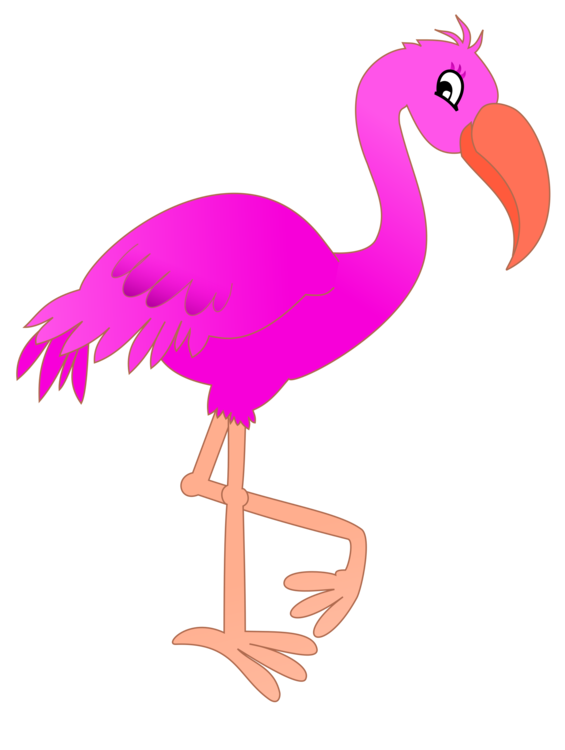 Pink,Water Bird,Crane Like Bird