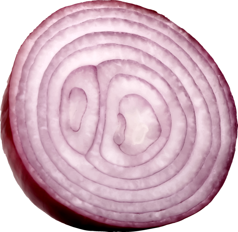Close Up,Onion,Purple