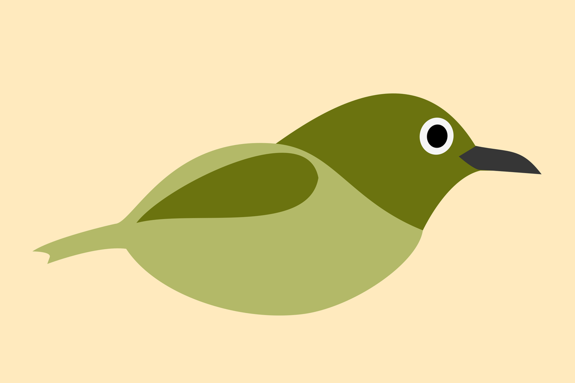 Bird,Green,Beak