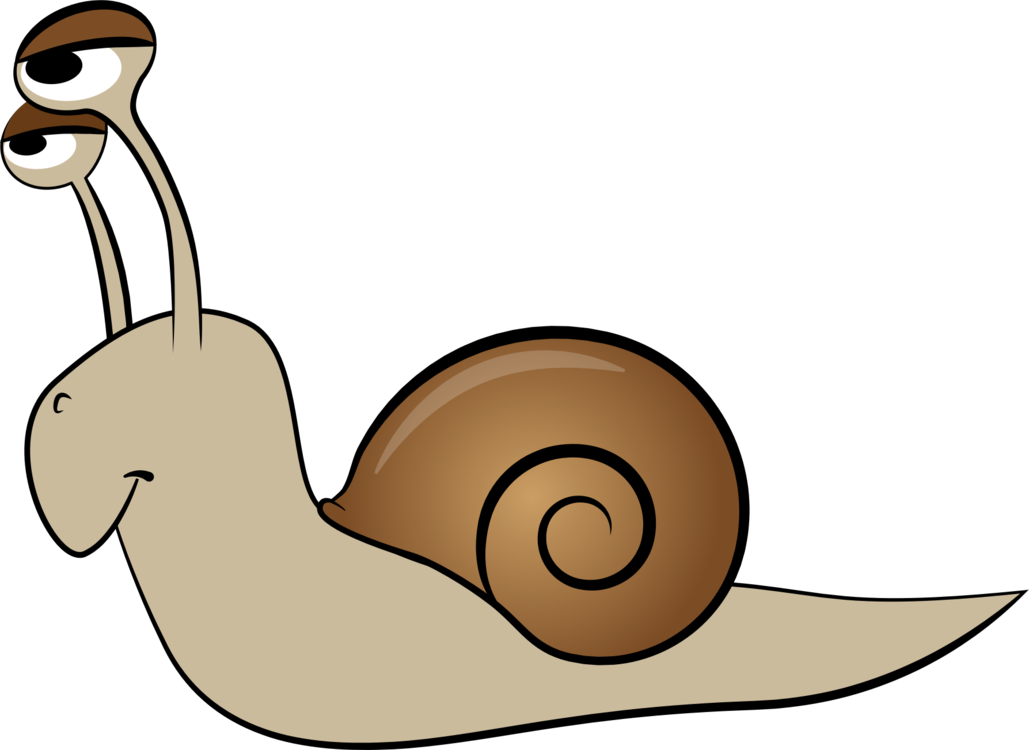 Snail,Artwork,Invertebrate