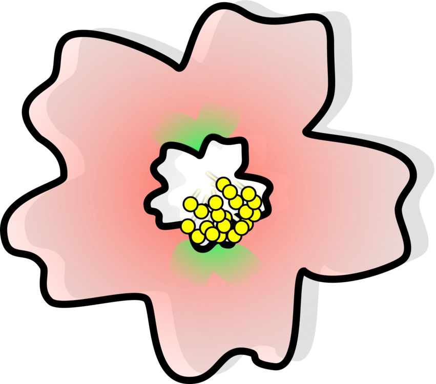 Pink,Flower,Area