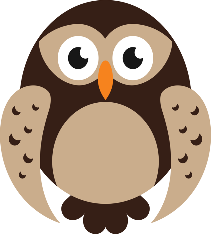 Owl,Bird,Bird Of Prey
